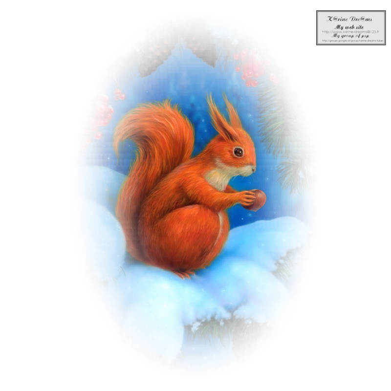 K@rine_dreams_Misted_squirrel_3624_Decembre_2016.png